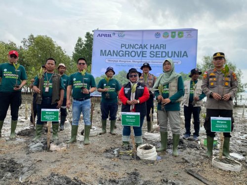 Penanaman mangrove di Desa Bagan Melibur, Kecamatan Merbau, Kabupaten Kepulauan Meranti dalam rangka peringatan Hari Manggrove Sedunia.