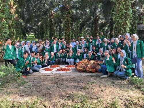 Mahasiswa foto bersama di perkebunan dan Pabrik Kelapa Sawit PT IIS Buatan, Kabupaten Pelalawan, pada 29 Juni 2026. Foto Ist