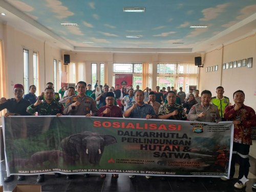 Kolaborasi lintas sektor tekan karhutla dan perlindungan satwa di Langgam (foto/Andy)