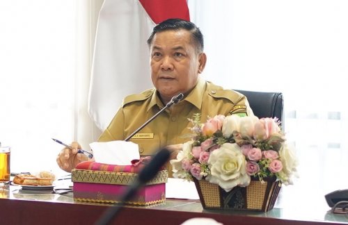Plt Gubernur Riau, SF Hariyanto.(foto: mcr)