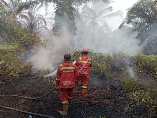Karhutla di Rohil, Riau.(foto: mcr)